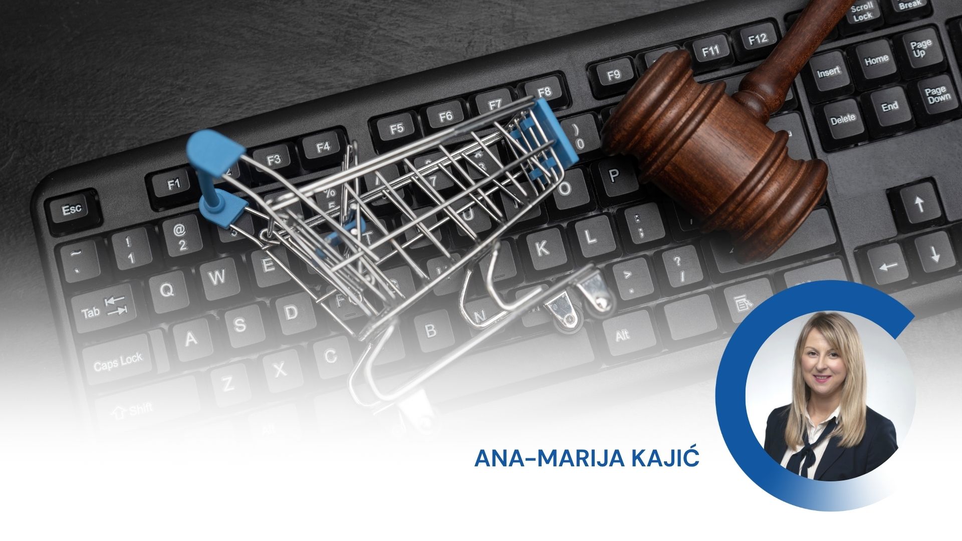 pravni aspekti webshop plavi ured zicer plavi ured edukacija