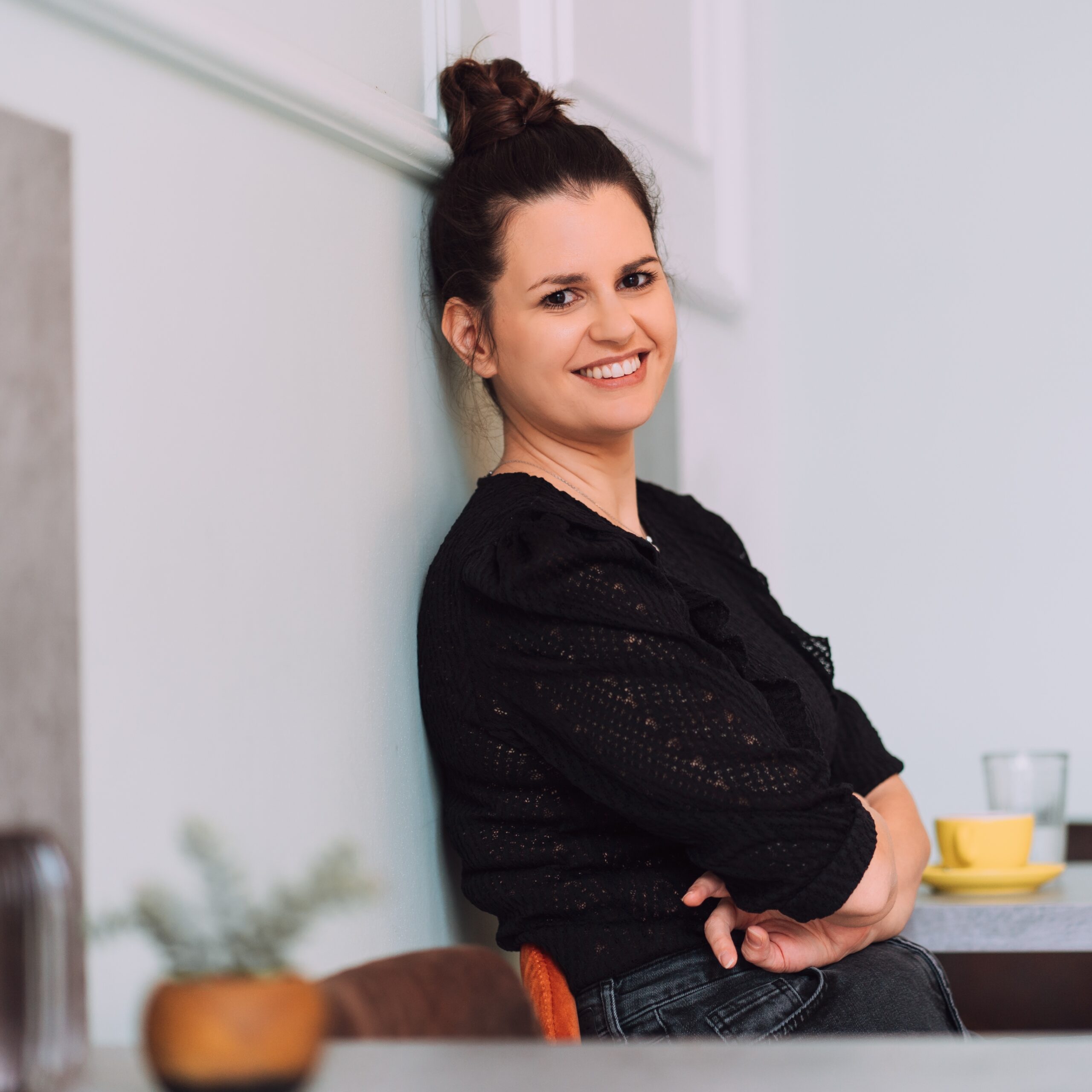 nana labaš cv zicer plavi ured